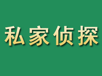 屏山市私家正规侦探